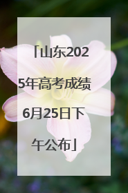 山东2025年高考成绩6月25日下午公布
