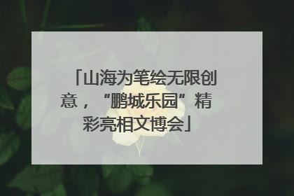 山海为笔绘无限创意，“鹏城乐园”精彩亮相文博会