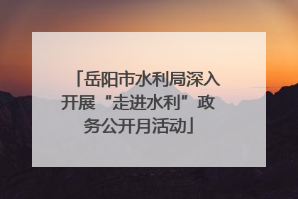 岳阳市水利局深入开展“走进水利”政务公开月活动
