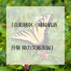 岳阳楼区：城陵矶港升级 助力文旅发展