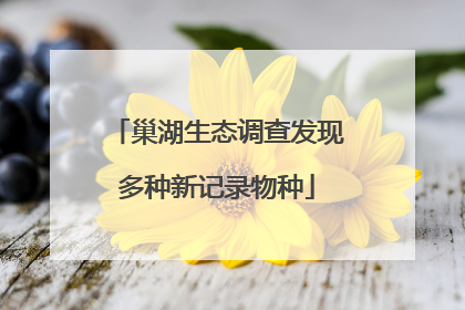 巢湖生态调查发现多种新记录物种