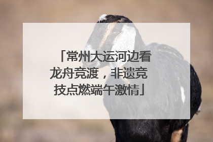 常州大运河边看龙舟竞渡，非遗竞技点燃端午激情