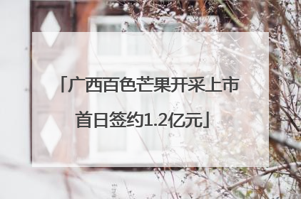 广西百色芒果开采上市 首日签约1.2亿元