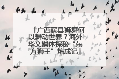 广西藤县狮舞何以舞动世界？海外华文媒体探秘“东方狮王”炼成记