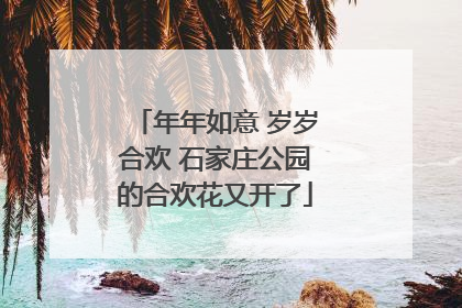 年年如意 岁岁合欢 石家庄公园的合欢花又开了