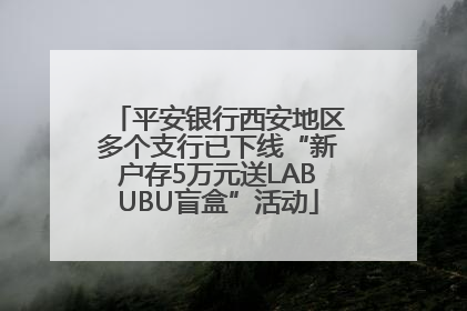 平安银行西安地区多个支行已下线“新户存5万元送LABUBU盲盒”活动