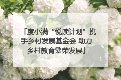 度小满“悦读计划”携手乡村发展基金会 助力乡村教育繁荣发展