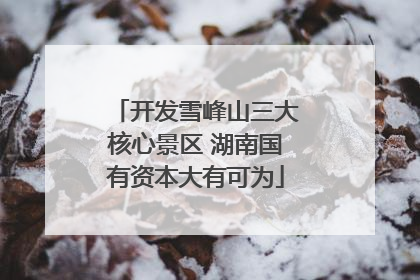 开发雪峰山三大核心景区 湖南国有资本大有可为