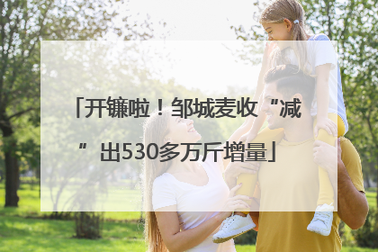 开镰啦！邹城麦收“减”出530多万斤增量