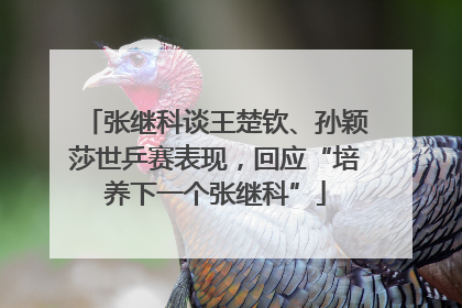 张继科谈王楚钦、孙颖莎世乒赛表现，回应“培养下一个张继科”