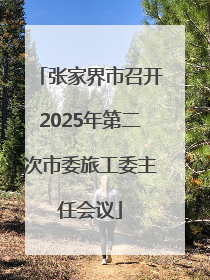 张家界市召开2025年第二次市委旅工委主任会议