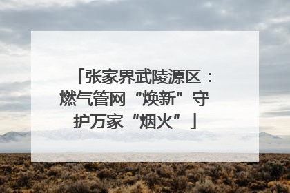 张家界武陵源区：燃气管网“焕新”守护万家“烟火”