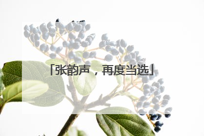 张韵声，再度当选