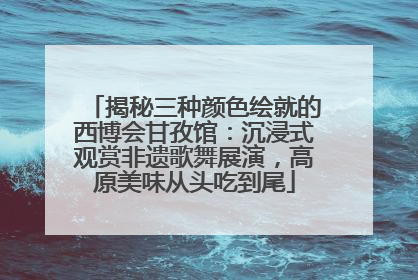 揭秘三种颜色绘就的西博会甘孜馆：沉浸式观赏非遗歌舞展演，高原美味从头吃到尾