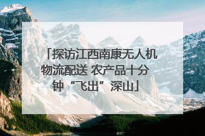 探访江西南康无人机物流配送 农产品十分钟“飞出”深山