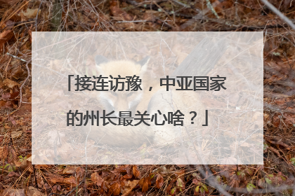 接连访豫，中亚国家的州长最关心啥？