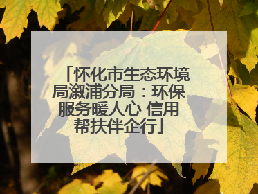怀化市生态环境局溆浦分局：环保服务暖人心 信用帮扶伴企行