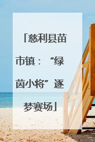 慈利县苗市镇：“绿茵小将”逐梦赛场