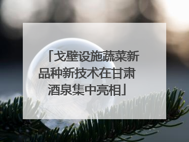 戈壁设施蔬菜新品种新技术在甘肃酒泉集中亮相