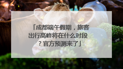 成都端午假期，旅客出行高峰将在什么时段？官方预测来了