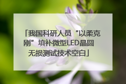 我国科研人员“以柔克刚”填补微型LED晶圆无损测试技术空白