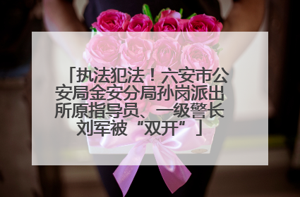 执法犯法！六安市公安局金安分局孙岗派出所原指导员、一级警长刘军被“双开”