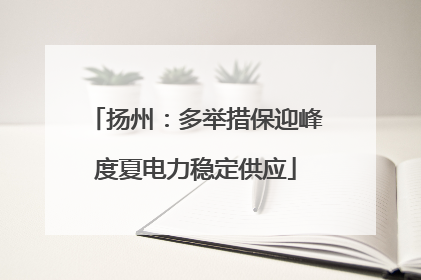 扬州：多举措保迎峰度夏电力稳定供应