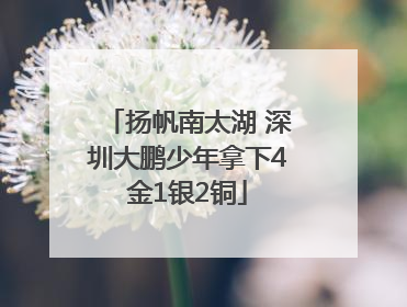 扬帆南太湖 深圳大鹏少年拿下4金1银2铜
