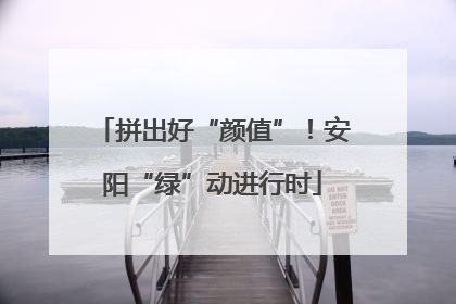 拼出好“颜值”！安阳“绿”动进行时