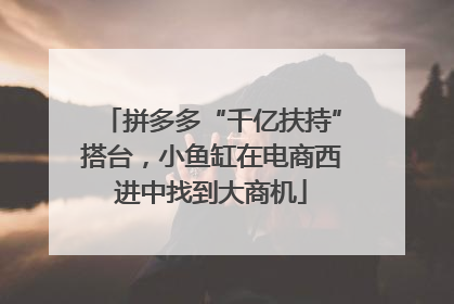 拼多多“千亿扶持”搭台，小鱼缸在电商西进中找到大商机
