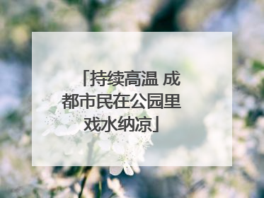 持续高温 成都市民在公园里戏水纳凉