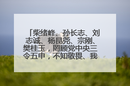 柴绪峰、孙长志、刘志诚、杨昆尧、宗刚、樊桂玉，罔顾党中央三令五申，不知敬畏、我行我素、肆意妄为！