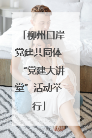 柳州口岸党建共同体“党建大讲堂”活动举行