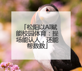 松阳以AI赋能校园体育：操场能认人，还能帮数数