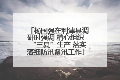 杨国强在利津县调研时强调 精心组织“三夏”生产 落实落细防汛备汛工作