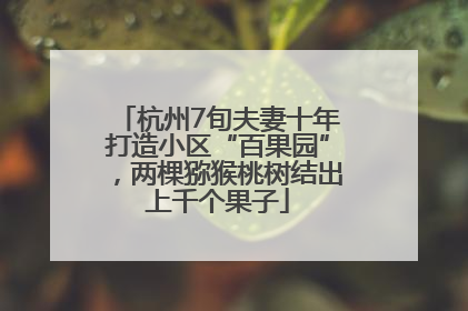 杭州7旬夫妻十年打造小区“百果园”，两棵猕猴桃树结出上千个果子