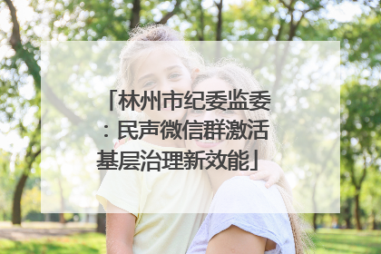 林州市纪委监委：民声微信群激活基层治理新效能