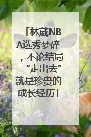 林葳NBA选秀梦碎，不论结局“走出去”就是珍贵的成长经历