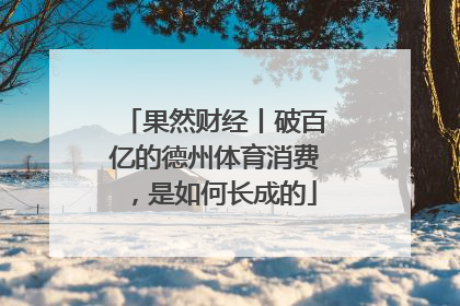果然财经丨破百亿的德州体育消费，是如何长成的