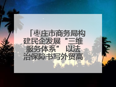 枣庄市商务局构建民企发展“三维服务体系” 以法治保障书写外贸高质量答卷