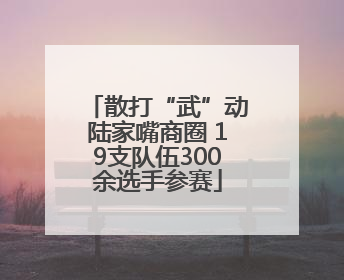 散打“武”动陆家嘴商圈 19支队伍300余选手参赛