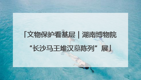 文物保护看基层｜湖南博物院“长沙马王堆汉墓陈列”展