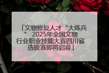 文物修复人才“大练兵” 2025年全国文物行业职业技能大赛四川省选拔赛即将启幕