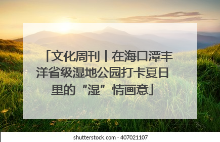 文化周刊丨在海口潭丰洋省级湿地公园打卡夏日里的“湿”情画意