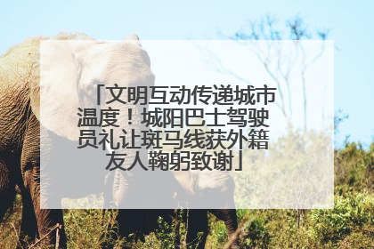 文明互动传递城市温度！城阳巴士驾驶员礼让斑马线获外籍友人鞠躬致谢
