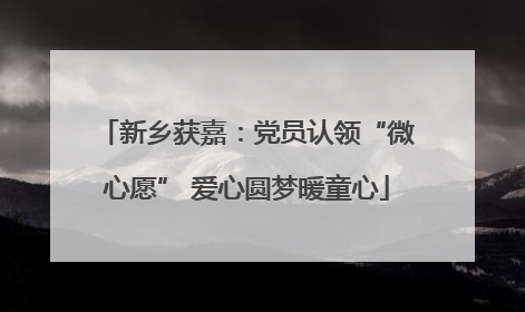 新乡获嘉：党员认领“微心愿” 爱心圆梦暖童心
