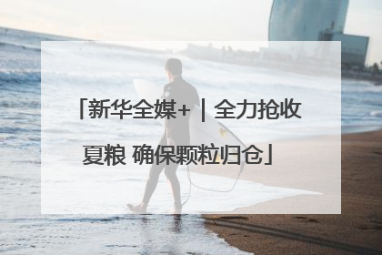 新华全媒+｜全力抢收夏粮 确保颗粒归仓