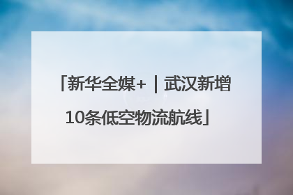 新华全媒+｜武汉新增10条低空物流航线