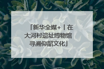 新华全媒+丨在大河村遗址博物馆寻溯仰韶文化
