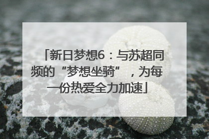 新日梦想6：与苏超同频的“梦想坐骑”，为每一份热爱全力加速